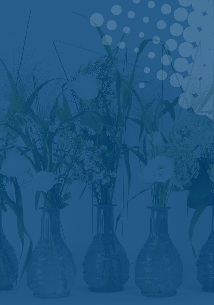 Flowers arranged in glass vases overlaying a blue background