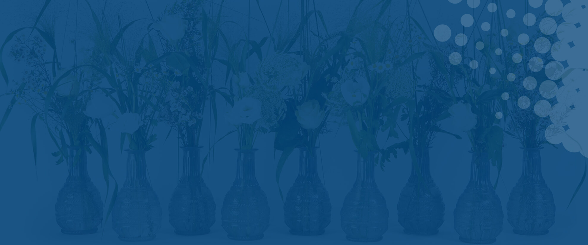 Flowers arranged in glass vases overlaying a blue background